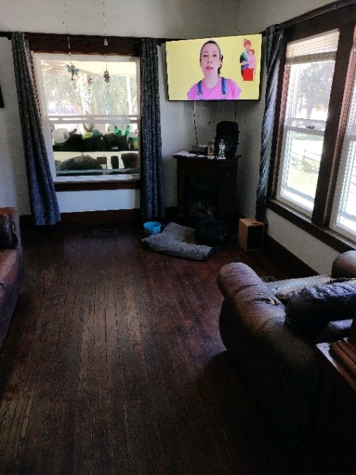 living room with a wealth of natural light and wood-type flooring