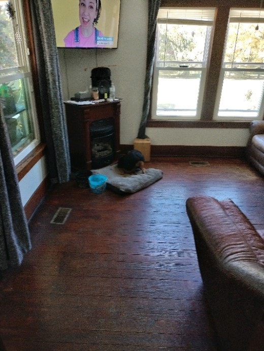 living room featuring hardwood / wood-style flooring