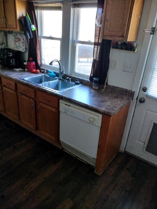 kitchen with sink, dishwasher, and dark hardwood / wood-style floors