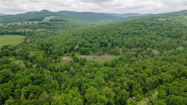 birds eye view of property featuring a mountain view