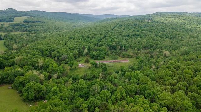 aerial view with a mountain view