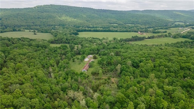 birds eye view of property featuring a mountain view