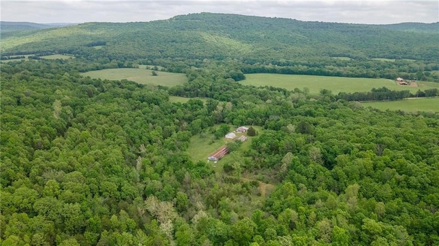 birds eye view of property featuring a mountain view