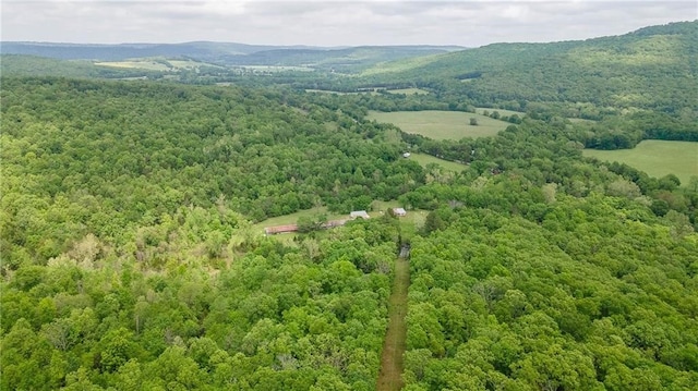 bird's eye view featuring a mountain view