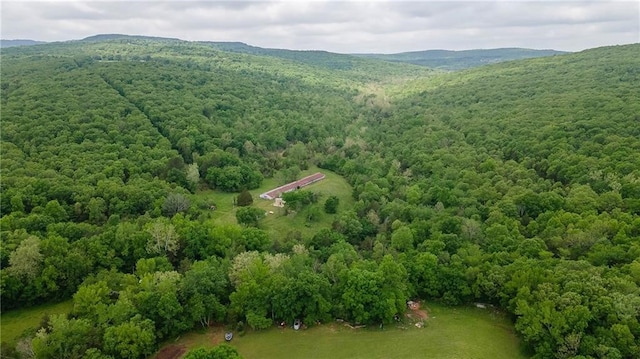 drone / aerial view featuring a mountain view