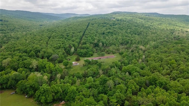 bird's eye view with a mountain view