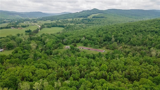 drone / aerial view featuring a mountain view