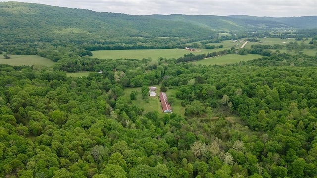 birds eye view of property featuring a mountain view