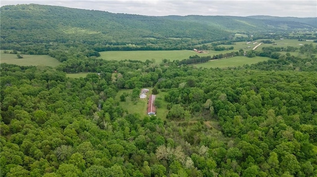 bird's eye view with a mountain view