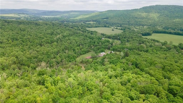 bird's eye view with a mountain view