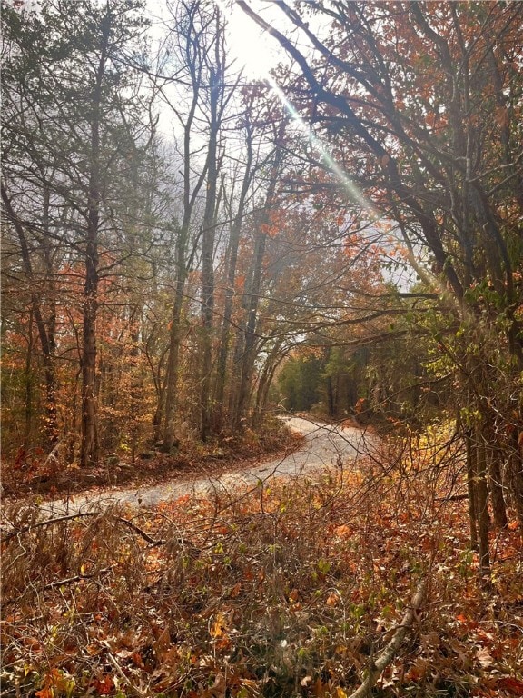 view of local wilderness