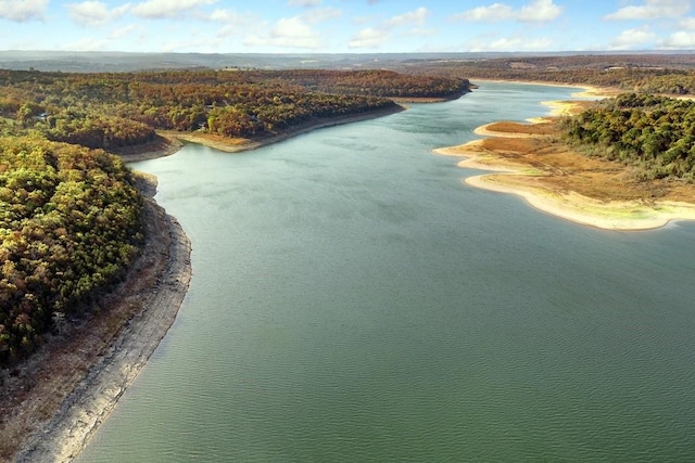 birds eye view of property with a forest view and a water view