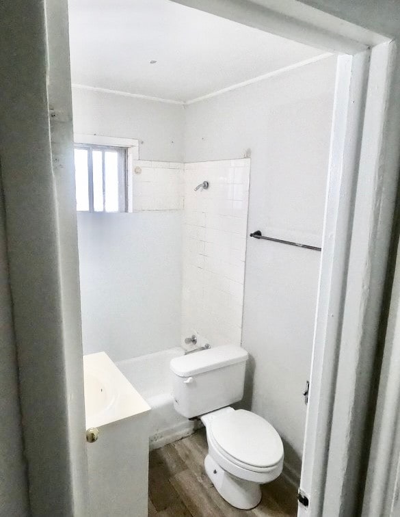 bathroom featuring vanity, toilet, and hardwood / wood-style flooring