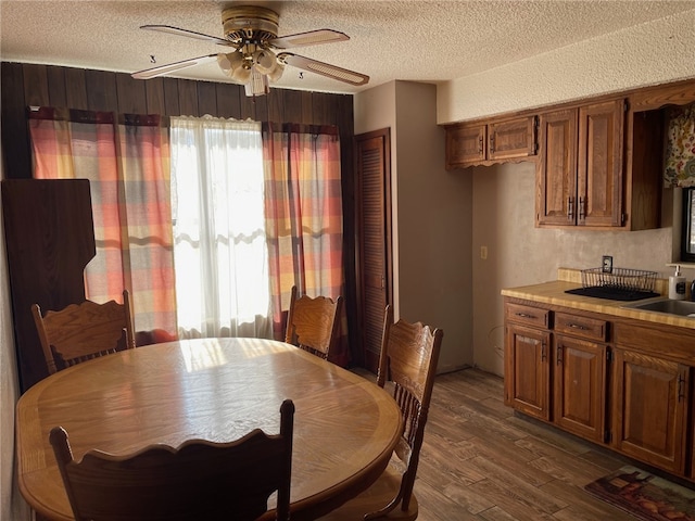 dining room with ceiling fan, sink, a textured ceiling, and dark hardwood / wood-style flooring