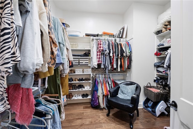 walk in closet with wood-type flooring