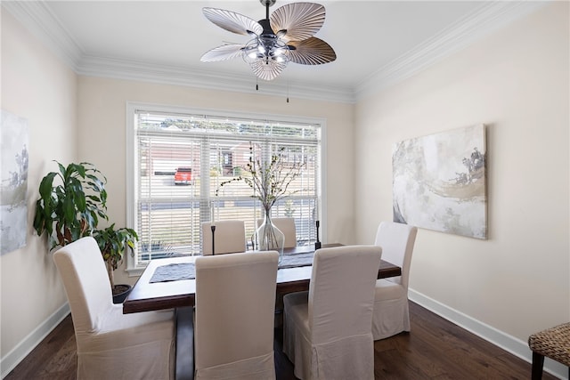 dining room with ceiling fan, ornamental molding, and dark hardwood / wood-style flooring