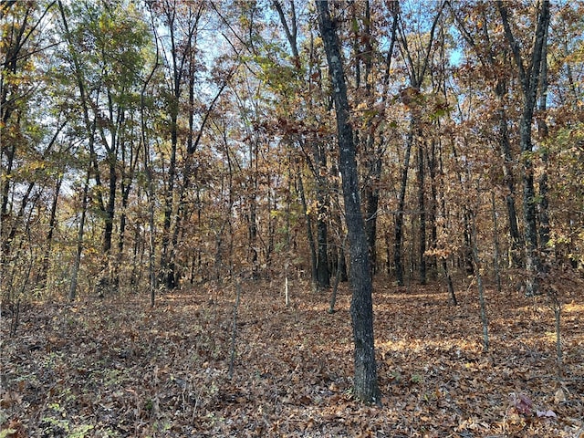 Listing photo 2 for 37.64AC Dubuque Rd, Omaha AR 72662