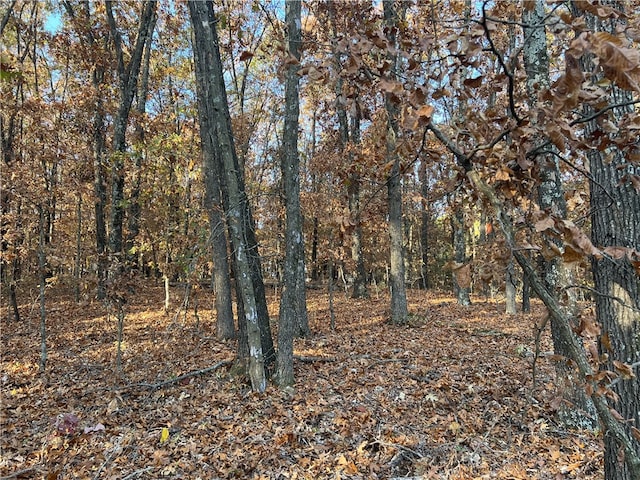 Listing photo 3 for 37.64AC Dubuque Rd, Omaha AR 72662