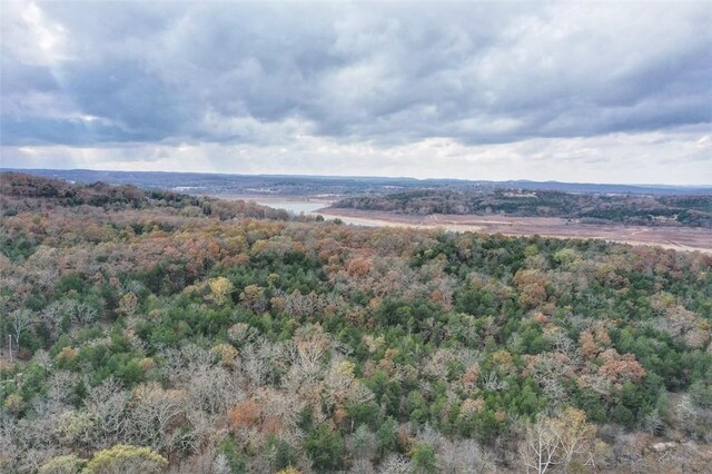 Mc 2034, Lead Hill, AR 72644 - photo 19