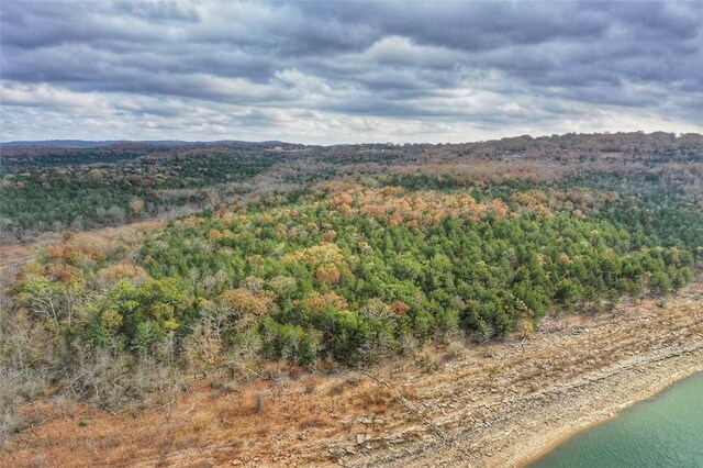 Mc 2034, Lead Hill, AR 72644 - photo 20
