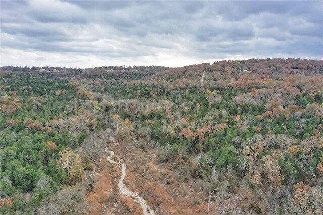 Mc 2034, Lead Hill, AR 72644 - photo 27