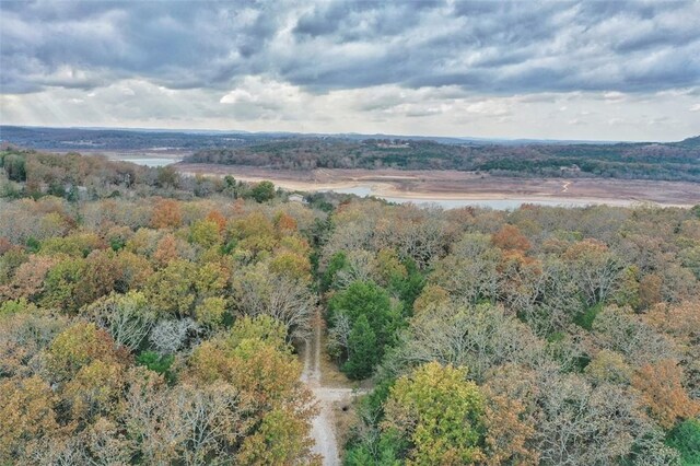 Mc 2034, Lead Hill, AR 72644 - photo 28