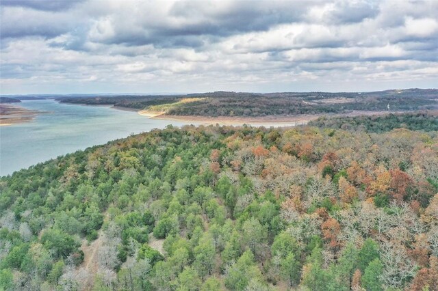 Mc 2034, Lead Hill, AR 72644 - photo 29