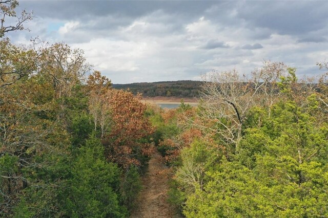 Mc 2034, Lead Hill, AR 72644 - photo 31