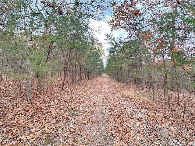 Mc 2034, Lead Hill, AR 72644 - photo 32