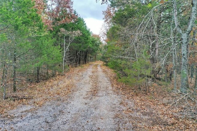 Mc 2034, Lead Hill, AR 72644 - photo 33