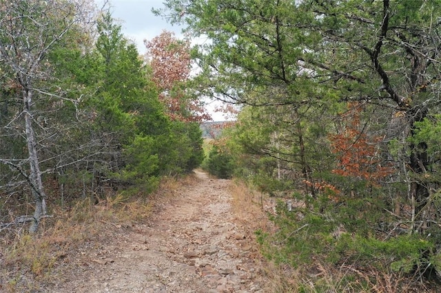 Mc 2034, Lead Hill, AR 72644 - photo 34