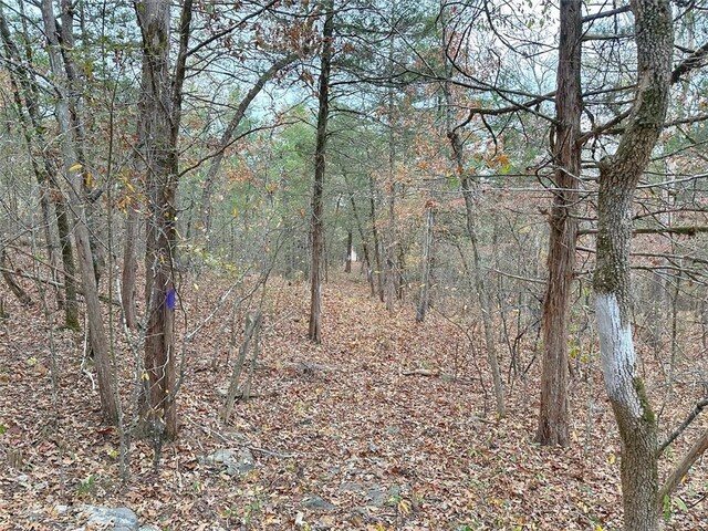 Mc 2034, Lead Hill, AR 72644 - photo 35