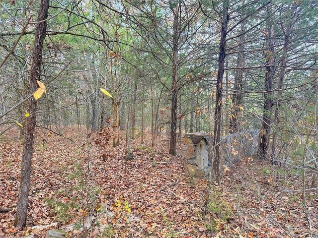 Mc 2034, Lead Hill, AR 72644 - photo 36