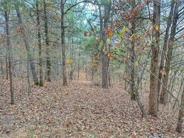 Mc 2034, Lead Hill, AR 72644 - photo 38