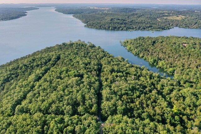 Mc 2034, Lead Hill, AR 72644 - photo 1