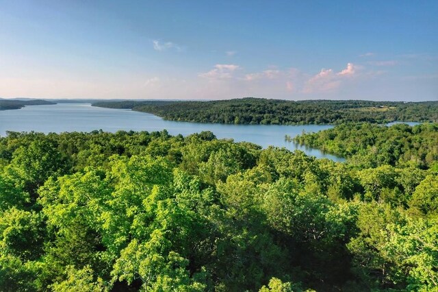 Mc 2034, Lead Hill, AR 72644 - photo 2
