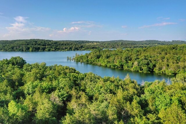 Mc 2034, Lead Hill, AR 72644 - photo 6
