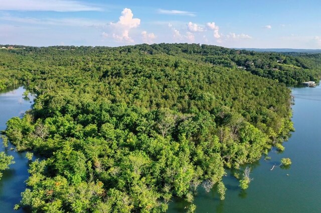 Mc 2034, Lead Hill, AR 72644 - photo 7