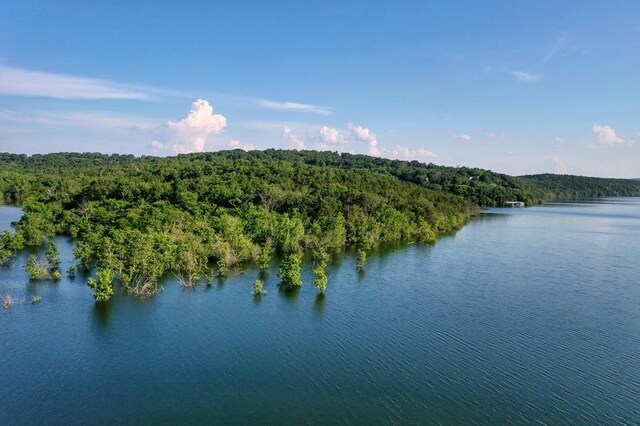 Mc 2034, Lead Hill, AR 72644 - photo 12