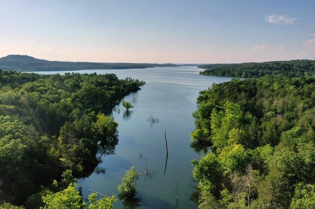 Mc 2034, Lead Hill, AR 72644 - photo 14