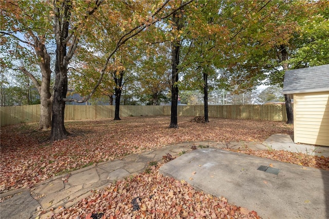 view of yard with a patio