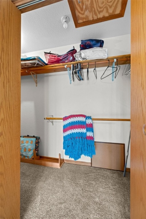 spacious closet featuring carpet floors