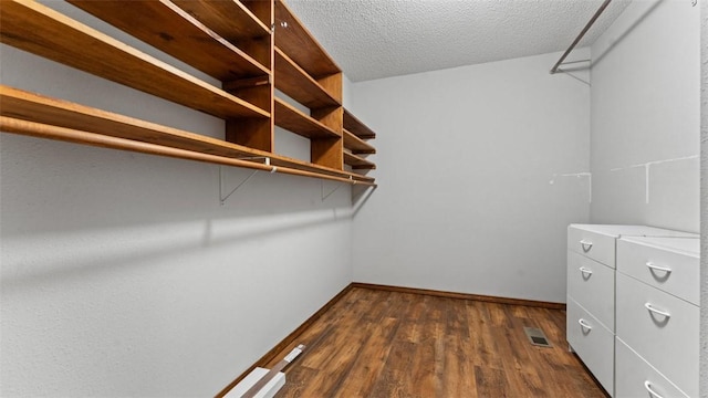 walk in closet with dark hardwood / wood-style floors