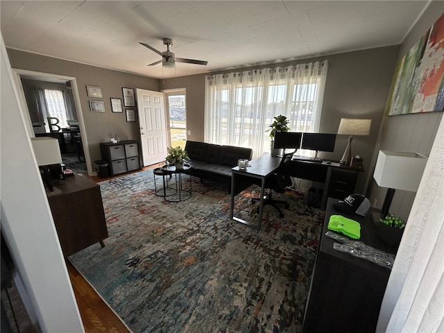 living room featuring ceiling fan and hardwood / wood-style floors