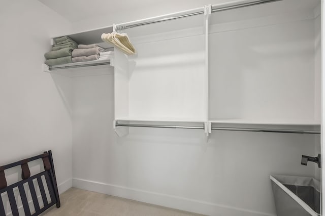 spacious closet featuring light carpet and sink