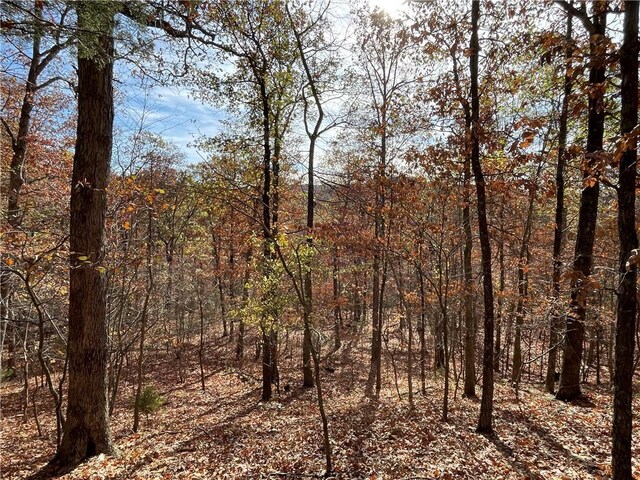 TBD Madison 5326 Rd, Huntsville, AR 72740 - photo 1