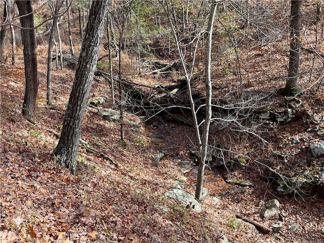 TBD Madison 5326 Rd, Huntsville, AR 72740 - photo 2