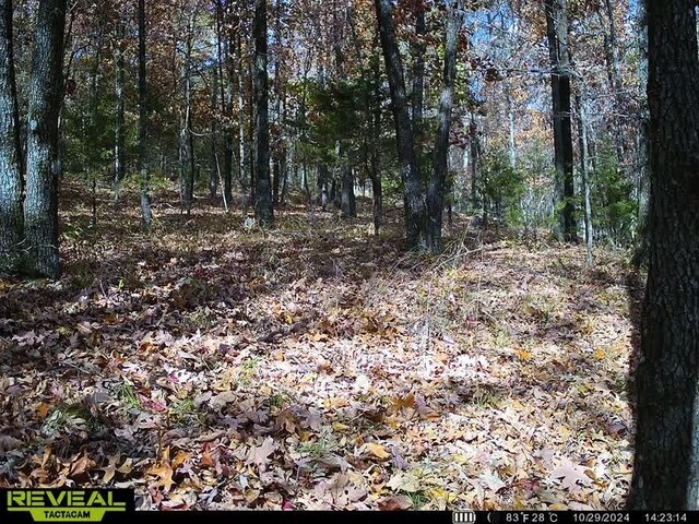 TBD Madison 5326 Rd, Huntsville, AR 72740 - photo 6