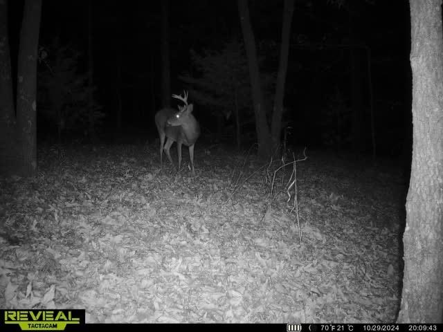 TBD Madison 5326 Rd, Huntsville, AR 72740 - photo 7