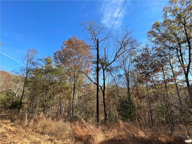 TBD Madison 5326 Rd, Huntsville, AR 72740 - photo 10